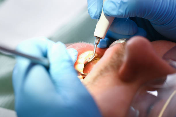 Best Emergency Dentist for Special Needs Patients in Crothersville, IN